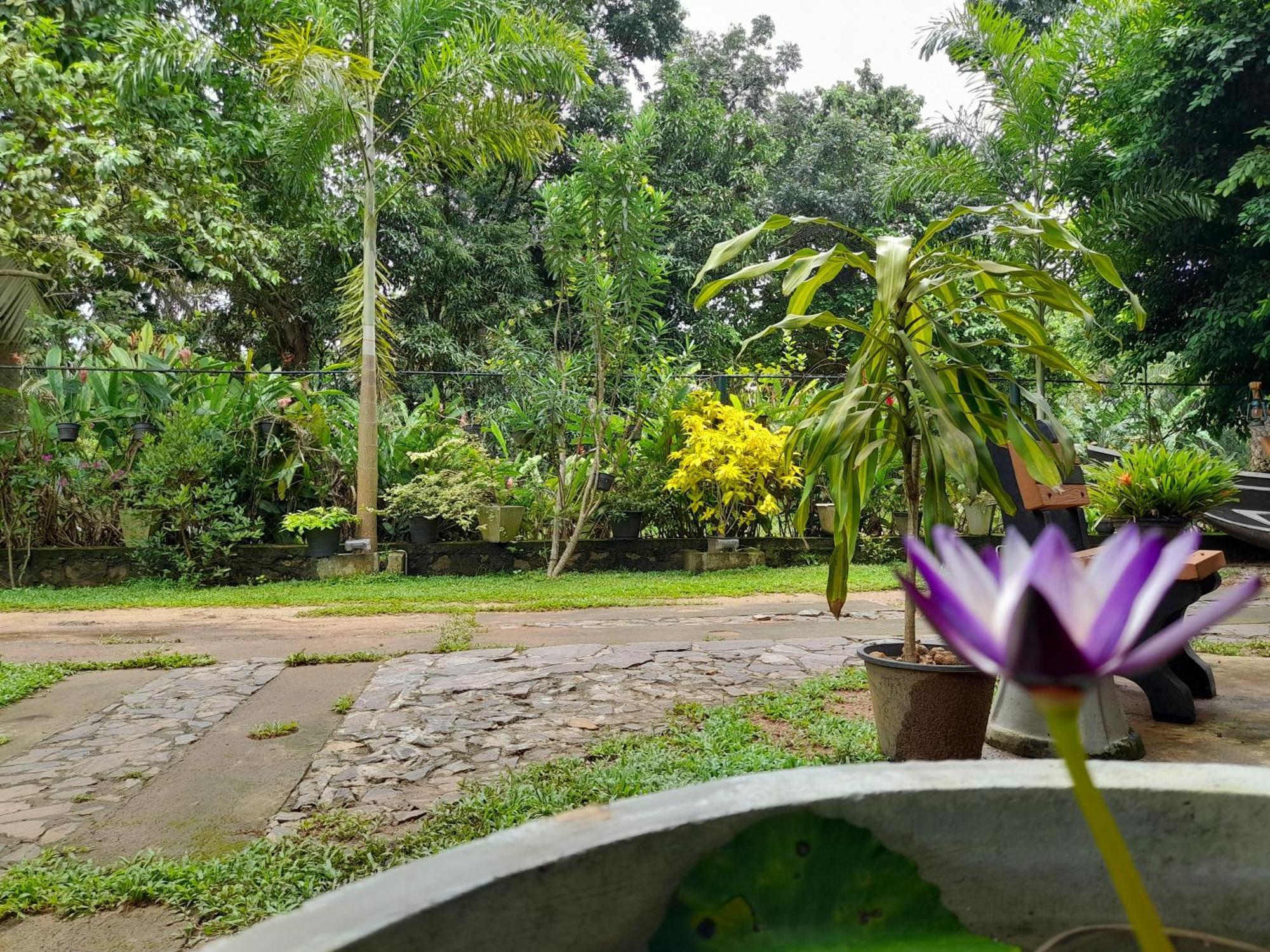 Ging View Villa Galle Bagian luar foto